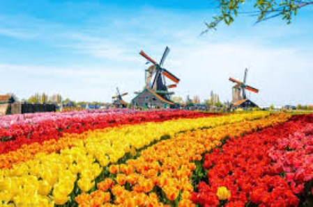 Tour du lịch Hà Lan